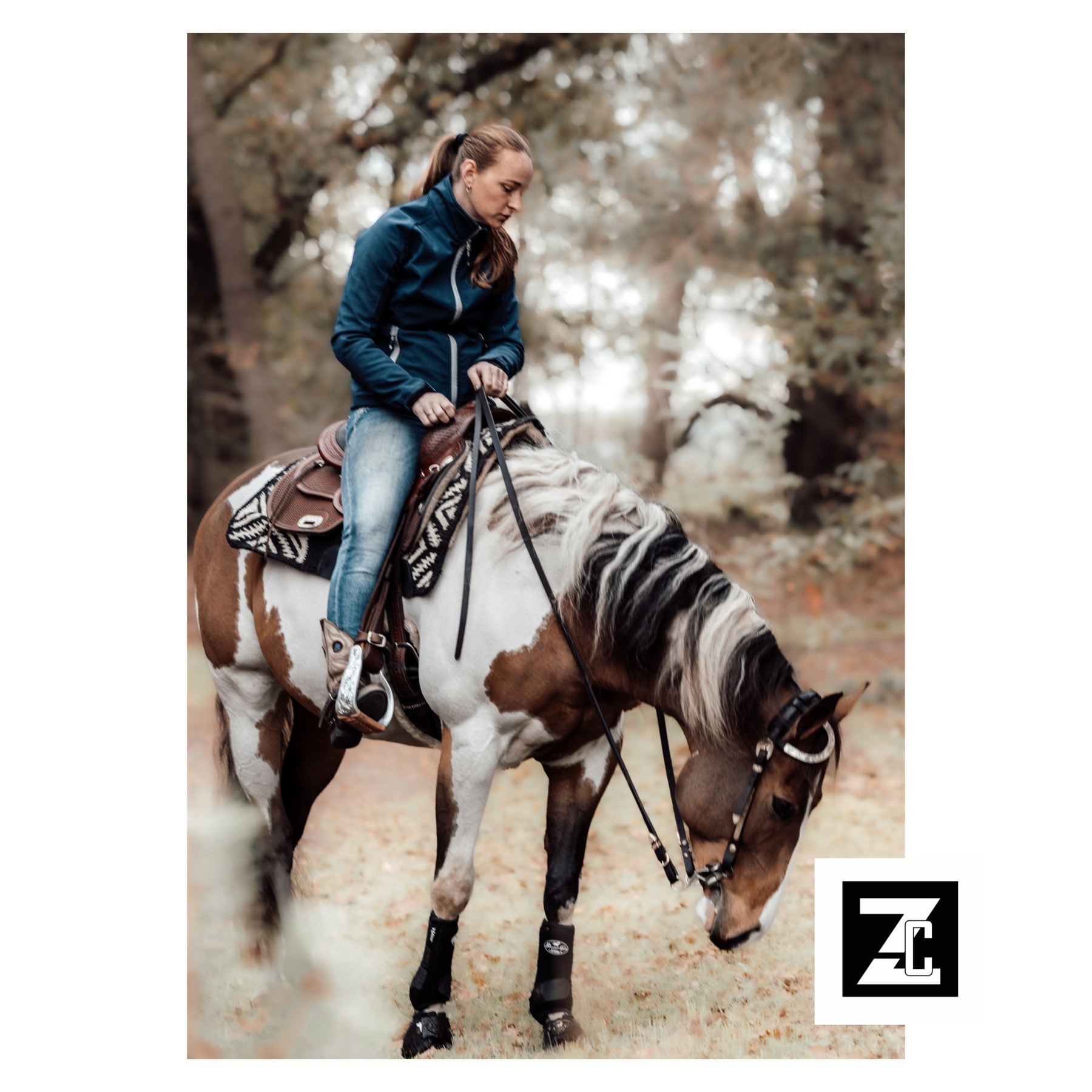 DAPNE PAARD 1 DAPNE PAARD 1